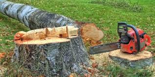 Best Emergency Tree Removal  in North Pekin, IL